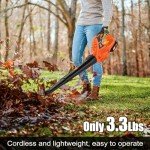 Leisch Life 21V Leaf Blower Cordless | Handheld Electric Lightweight Blower with 2.0Ah Rechargeable Battery & Fast Charger | Adjustable Speeds, Portable Design for Lawn, Patio, Yard, Sidewalk Cleaning