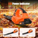 Leisch Life 21V Leaf Blower Cordless | Handheld Electric Lightweight Blower with 2.0Ah Rechargeable Battery & Fast Charger | Adjustable Speeds, Portable Design for Lawn, Patio, Yard, Sidewalk Cleaning