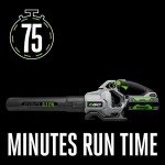 EGO ST6151LB 15-Inch 56-Volt Lithium-ion Cordless POWERLOAD™ String Trimmer with Aluminum Telescopic Shaft & 615 CFM Blower Combo Kit with 2.5Ah Battery and Charger Included