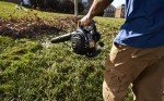 Poulan Pro Poulan Pro PPBV25 25-cc 2-Cycle 230-MPH 450-CFM Handheld Gas Leaf Blower