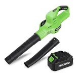 Leaf Blower Cordless, 20V Electric Blowers with 4000mAh Battery and Charger, 2 Speed Modes Lightweight Battery Powered Leaf Blowers for Lawn Care, Patio, Blowing Leaves,Grass
