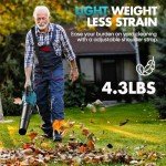 Leaf Blower Cordless - 580CFM/160MPH & 3 Speed Levels Electric Leaf Blower with 2 x 4.0Ah Battery and Charger, Extension Tube Blower for Lawn Care, Yard, Garage, Blowing Leaves, Dust or Snow, Blue