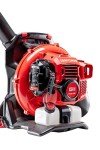 CRAFTSMAN Gas Powered Backpack Leaf Blower, Lightweight Backpack Blower, 220MPH, 51cc, 2-Cycle (CMXGAAMR51BP)
