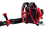 CRAFTSMAN Gas Powered Backpack Leaf Blower, Lightweight Backpack Blower, 220MPH, 51cc, 2-Cycle (CMXGAAMR51BP)
