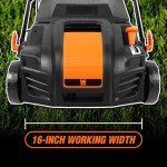 WEN DT1516 16-Inch 15-Amp 2-in-1 Electric Dethatcher and Scarifier with Collection Bag, Black