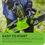 Greenworks 40V 16" Brushless Cordless Chainsaw (Gen 2) (Great For Tree Felling, Limbing, Pruning, and Firewood / 75+ Compatible Tools), 4.0Ah Battery and Charger Included