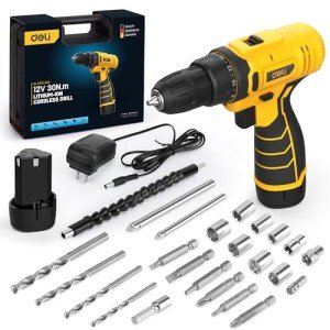 DELI 12V Cordless Drill Set, 2.0Ah Battery with Charger, 3/8'' Keyless Chuck, 18+1 Torque Settings, Electric Mini Drill for Home Improvement