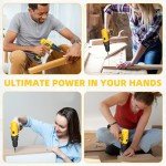 DELI 12V Cordless Drill Set, 2.0Ah Battery with Charger, 3/8'' Keyless Chuck, 18+1 Torque Settings, Electric Mini Drill for Home Improvement