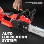 12" Electric Chainsaw Cordless, 20V Battery Power Cordless Chain Saw, Battery Chainsaw with 4.0Ah Lithium ion Battery and Charger