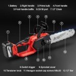 12" Electric Chainsaw Cordless, 20V Battery Power Cordless Chain Saw, Battery Chainsaw with 4.0Ah Lithium ion Battery and Charger