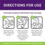 Flents Foam Ear Plugs, 10 Pair with Case for Sleeping, Snoring, Loud Noise, Traveling, Concerts, Construction, & Studying, NRR 33, Purple, Made in the USA,10 Count (Pack of 1)