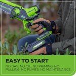 Greenworks 24V 6" Brushless Mini Chainsaw, Small Cordless Handheld Saw, 2.0Ah Battery and Charger Included