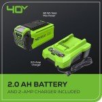 Greenworks 40V 8-Inch Cordless Polesaw, 2.0Ah Battery and Charger Included PS40B210