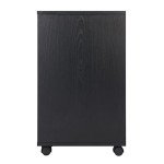 Winsome Halifax Storage Mobile Cabinets, 1 Door, 3 Drawers, 2 Wide Drawers, for Home Office, Black