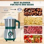 Electric Spice and Nut Grinders - 3 Stainless Steel Blades, 1 Filter, 1 Brush - 500W Wet & Dry Grinder for Kitchen(Green）
