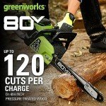 Greenworks 80V 16" Brushless Cordless Chainsaw (Great For Tree Felling, Limbing, Pruning, and Firewood / 75+ Compatible Tools), Tool Only