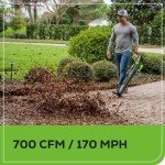 Greenworks 80V 700 CFM Cordless Leaf Blower - Commercial-Grade Power, 45-Min Rapid Charger for Wet Leaves & Heavy Debris (Includes 2.5Ah Battery)