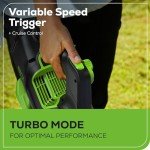 Greenworks 80V 700 CFM Cordless Leaf Blower - Commercial-Grade Power, 45-Min Rapid Charger for Wet Leaves & Heavy Debris (Includes 2.5Ah Battery)
