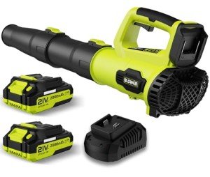 Leaf Blower, 21V Cordless Electric Blower with 2 2.0Ah Batteries and 1 Hour Fast Charger, Lightweight Leaf Blower for Patio Cleaning, Lawn Care, Blowing Fallen Leaves and Dust, etc.