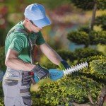 Hedge Trimmer Cordless with Battery and Charger 21V Electric Brush Grass Shrub Trimmer 2 in 1 Handheld Mini Grass Shears Grass Cutter Battery Powered Hedge Trimmer for Garden, Yard and Lawn (Blue)