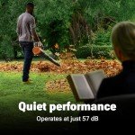 WORX Nitro 40V Cordless Leaf Blower, Quiet Electric Leaf Blower Cordless with Battery and Charger for Lawn Care Up to 180 MPH & 530 CFM, PowerShare, WG581.1