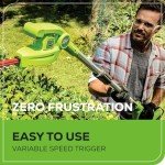 Greenworks 40V 8" Pole Saw + Pole Hedge, 2.0Ah Battery (Gen 1)