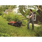 BLACK+DECKER 40V MAX* Cordless Lawn Mower, 16-Inch (CM1640)