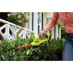 Ryobi P2900B ONE+ 18-Volt Lithium-Ion Cordless Grass Shear and Shrubber - Battery and Charger Not Included