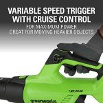 Greenworks 40V (120 MPH / 500 CFM / 75+ Compatible Tools) Cordless Axial Leaf Blower, 2.5Ah Battery and Charger Included