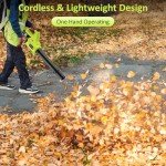 Leaf Blower Cordless with 2 x 4.0Ah Battery and Fast Charger, 650CFM 170MPH Electric Blower, 3 Speed Modes, 20V Handheld Leaf Blowers for Lawn Care, Yard, Blowing Leaves, Snow, Small Gravel, Green