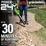 Greenworks 24V (110 MPH / 450 CFM / 125+ Compatible Tools) Cordless Brushless Axial Leaf Blower, 4.0Ah Battery and Charger Included