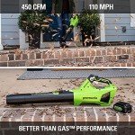 Greenworks 24V (110 MPH / 450 CFM / 125+ Compatible Tools) Cordless Brushless Axial Leaf Blower, 4.0Ah Battery and Charger Included