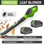 Leaf Blower Cordless 21V Powerful Electric Leaf Blower with 2 Batteries and Charger, 3.0Ah Lightweight Battery Powered Leaf Blowers for Lawn, Yard Cleaning Blows Leaves, Dust, Snow