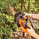 BLACK+DECKER 40V MAX Cordless Hedge Trimmer, 24-Inch Brush Trimmer with Battery and Charger (LHT341FF)