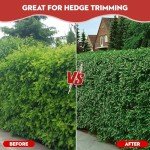 Electric Hedge Trimmer Cordless with Battery, 2 in 1 Handheld 24V Electric Grass Trimmer Hedge Shears/Grass, with Removable Rechargeable Lithium-Ion Battery and Charger