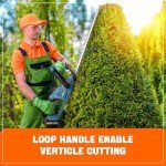 SENIX X2 20 Volt Max* 18-Inch Battery Powered Cordless Hedge Trimmer, Brushless Motor, Double-Sided Dual Action Blades, 3/4" Cutting Capacity, Includes Blade Cover, 2.5 Ah Battery & Charger (HTX2-M)