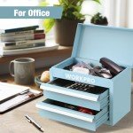 WORKPRO Mini Metal Tool Box with 2 Drawers and Top Storage, Small Tool Chest with PVC Liners and PP Feet Pads, Cold Rolled Steel Toolbox with Magnetic Tab