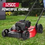 PowerSmart 21" 2-in-1 Push Lawn Mower, 125cc Engine, Adjustable Cutting Height, Lightweight, Easy Assembly