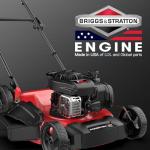 PowerSmart 21" 2-in-1 Push Lawn Mower, 125cc Engine, Adjustable Cutting Height, Lightweight, Easy Assembly