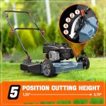 SENIX 20-Inch Gas Lawn Mower with 125 cc 4-Cycle Briggs & Stratton Engine, Side Discharge, 5-Position Single Wheel Height Adjustment (LSPG-L3)