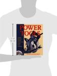 Power Tools: An Electrifying Celebration and Grounded Guide