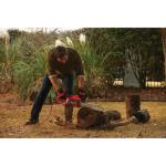 CRAFTSMAN Electric Chainsaw, 16 Inch, 12 Amp Corded (CMECS600)