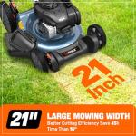 SENIX 21-Inch Gas Push Lawn Mower with Briggs & Stratton