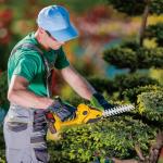 21V Cordless Hedge Trimmer with Battery & Charger