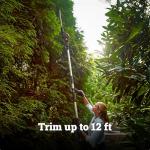 WORX 20V Cordless Hedge Trimmer with Extended Pole