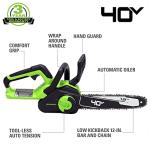 Greenworks 40V 12" Cordless Compact Chainsaw (Great For Storm Clean-Up, Pruning, and Camping), 2.0Ah Battery and Charger Included