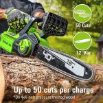 Greenworks 40V 12" Cordless Compact Chainsaw (Great For Storm Clean-Up, Pruning, and Camping), 2.0Ah Battery and Charger Included