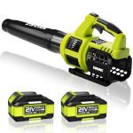 EWORK 21V Cordless Leaf Blower, Powerful Turbo Mode & 550 CFM, 2×3.0Ah Batteries & Fast Charger, Lightweight Electric Leaf Blowers for Lawn Care, Patio, Leaves & Dust