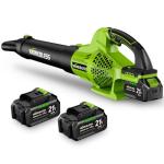 WorkBless Leaf Blower Cordless, 21V Electric Leaf Blower with 2 x 4.0Ah Batteries and Fast Charger, 22000RPM & 6 Speed Adjustable Blower for Lawn Care, Patio Cleaning, Dust, Snow Care(Green)