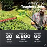 Greenworks 40V Cordless 20" Hedge Trimmer Bundle